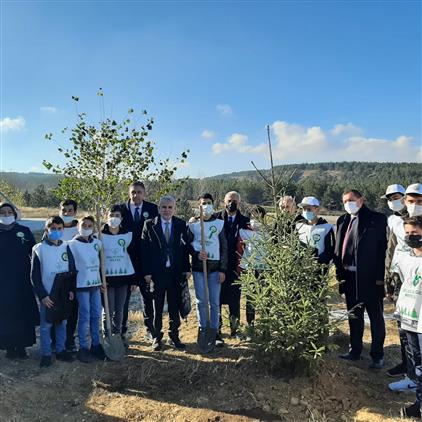 Kastamonu'da 81 Ilde Bin Hafız Fidanla Buluşuyor