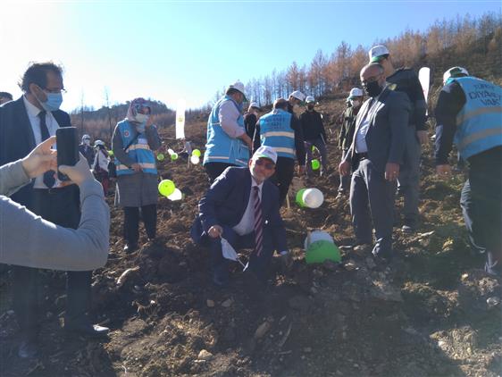 Isparta'da Din Görevlileri Ve Hafızlar Fidanları  Toprakla Buluşturdu