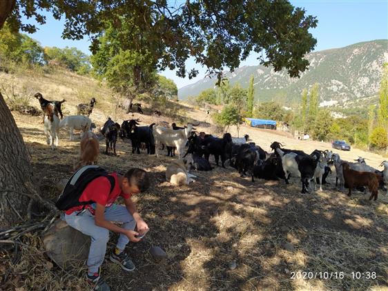 Tokat'da Hafız öğrencimizin örnek Başarısı
