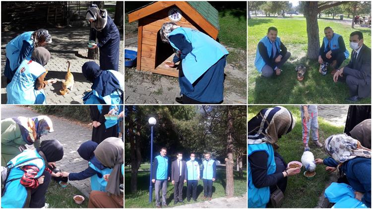 Erzincan'da Hayvanları Koruma Günü Dolayısıyla Sokak Hayvanlarına Mama Dağıtıldı