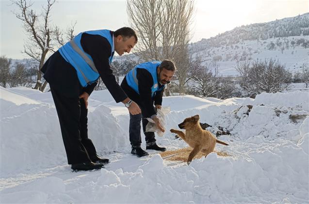 Nevşehir'de Kar Altında Doğada Yaşayan Hayvanlar Unutulmadı...
