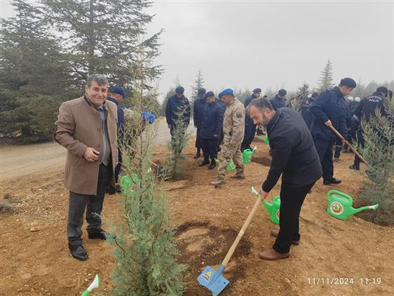 Il Müftüsü Prof. Dr. Ali öge, Konya Valiliği Orman Bölge Müdürlüğü Tarafından Sille Ağaçlandırma Sahası’nda Düzenlenen Fidan Dikim Törenine Katılarak Dua Etti.