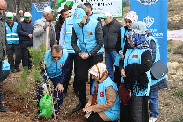 Mersin’de Yanan Ormanların Yerine 115 Bin Fidan Dikildi