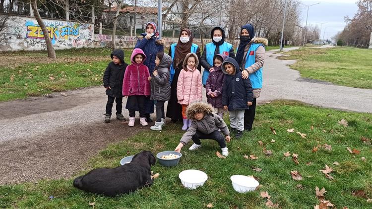 Kirklareli'de Sokak Hayvanlarını Unutmadık